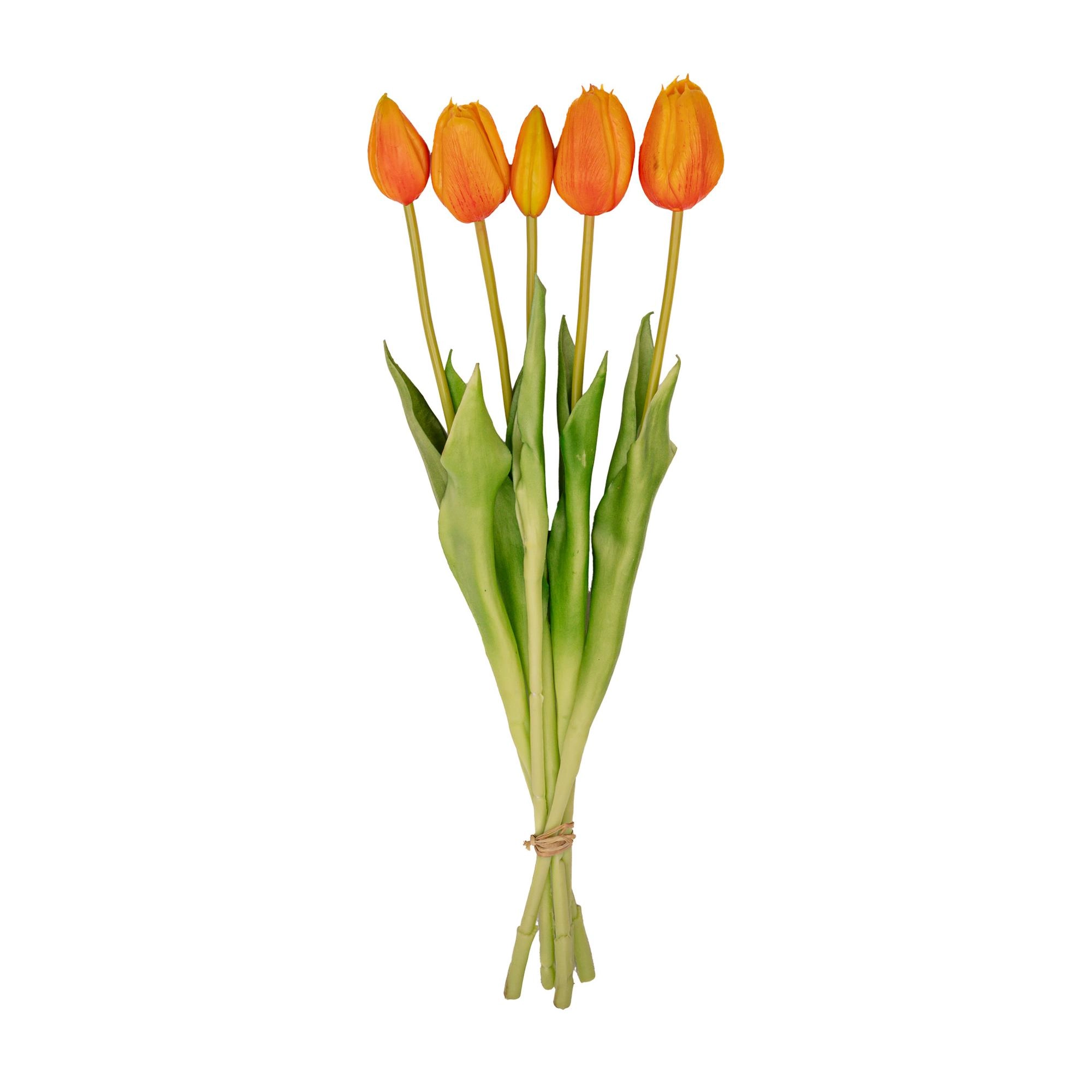 Tulpen Boeket in einer Vase