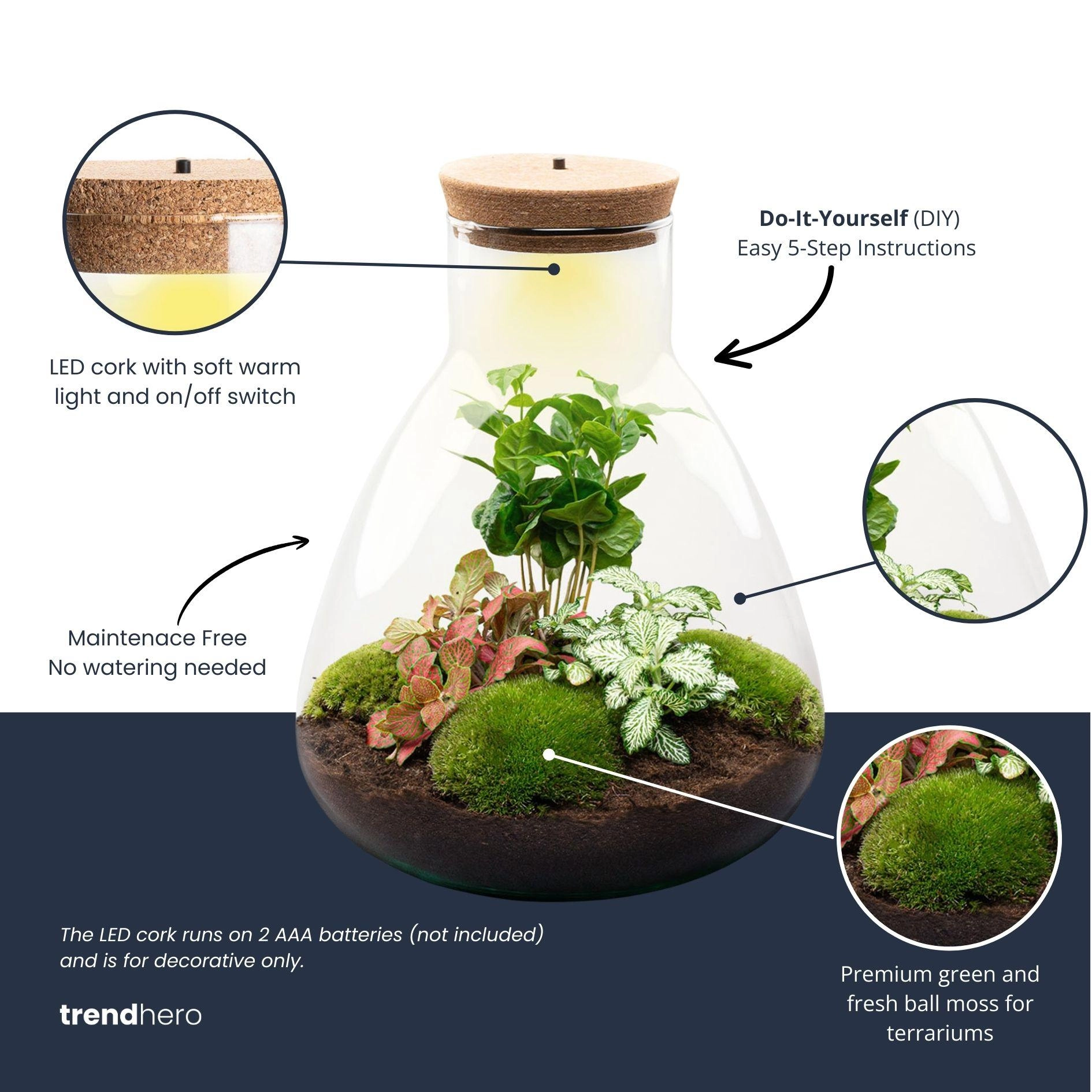 DIY Flaschengarten Set - Terrarium
