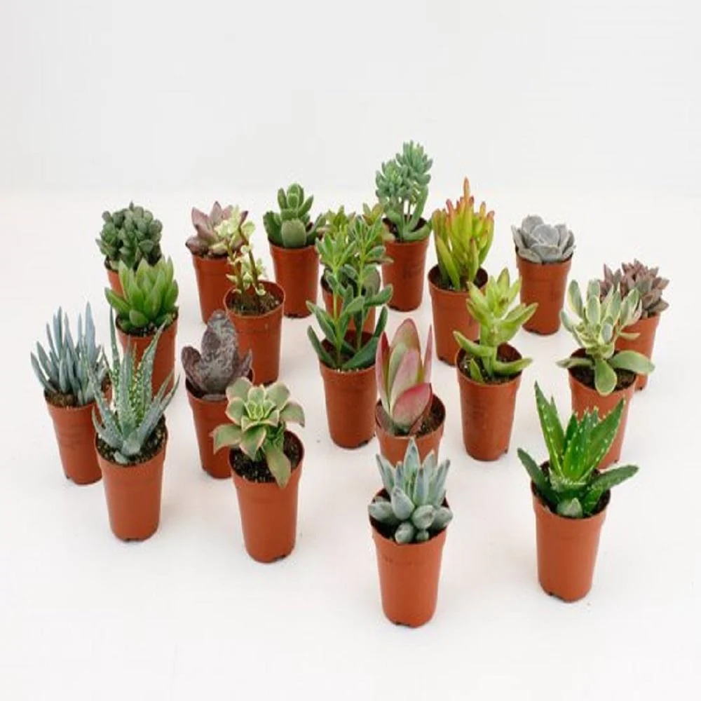 LOCK-Töpfe in modernem Design