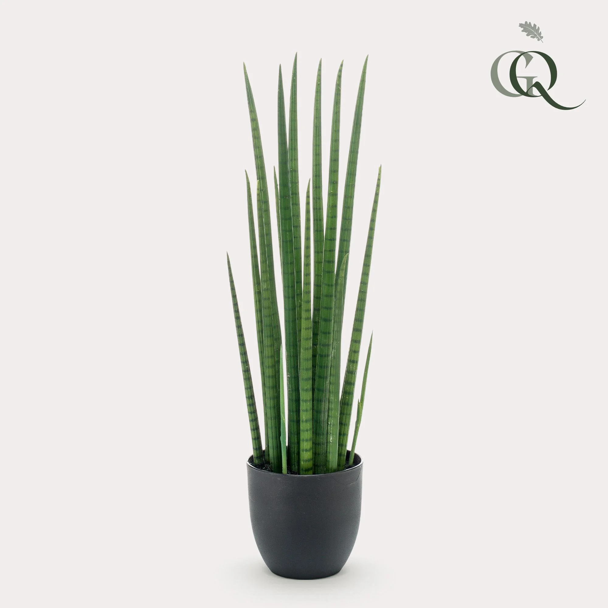 Kunstpflanze Sansevieria Cylindrica