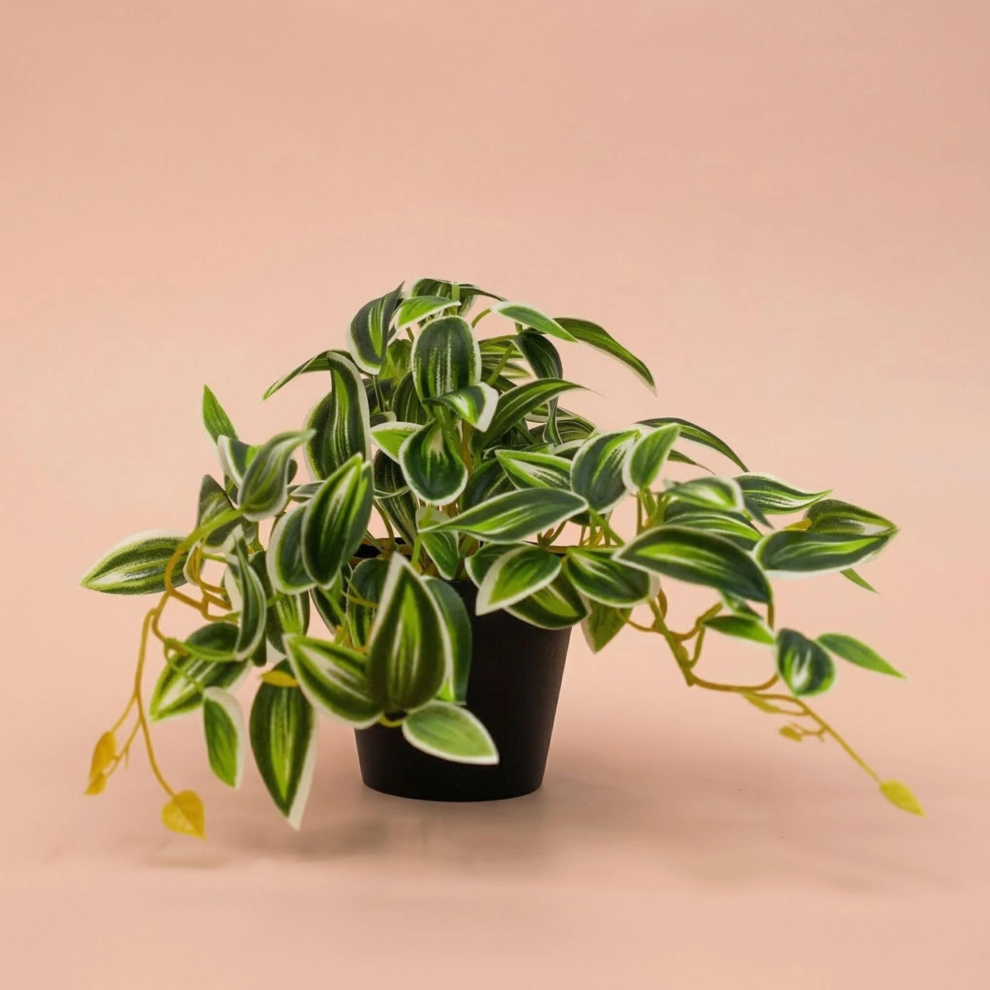 Detailansicht der Blätter der grünen-weißen Tradescantia Kunstpflanze
