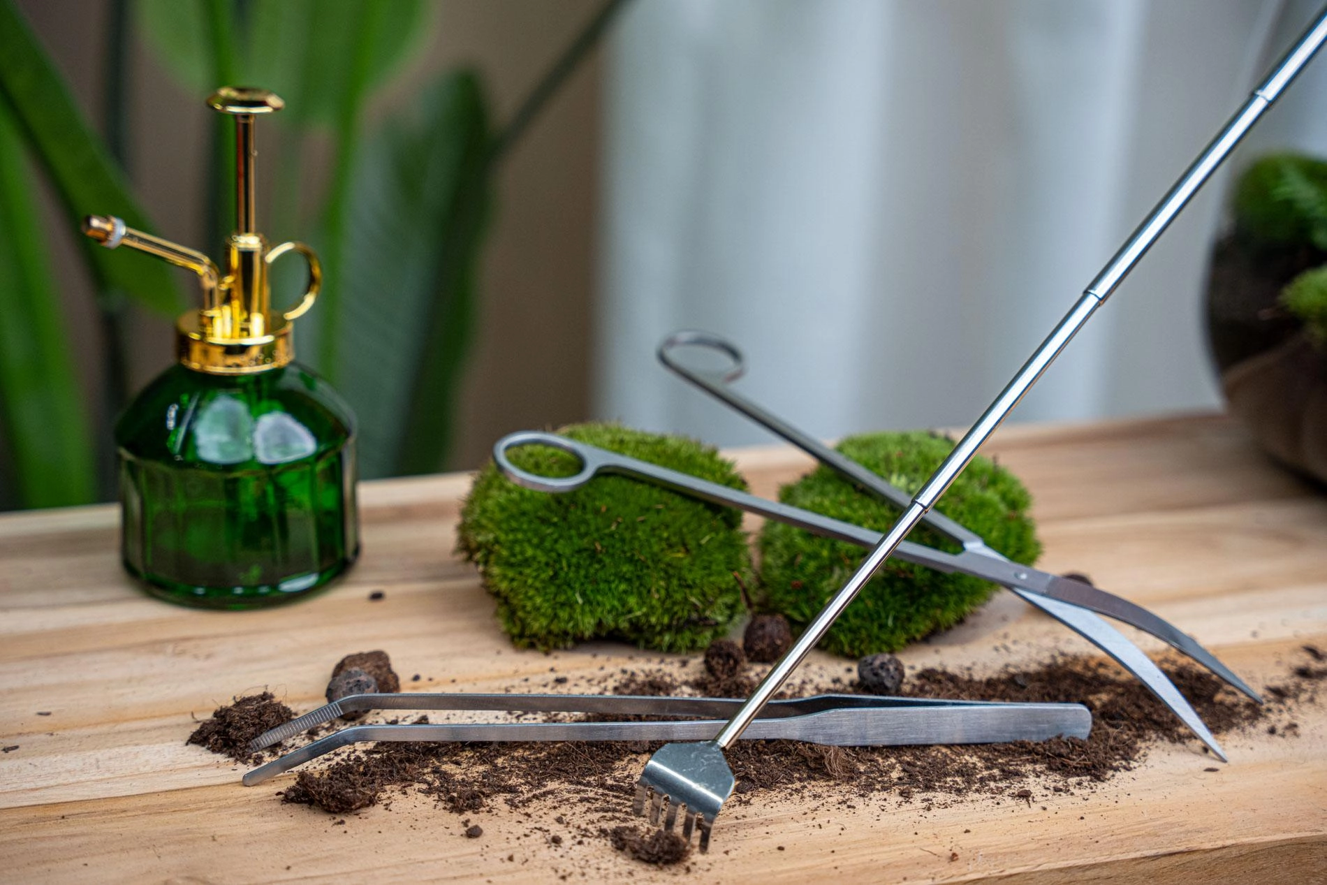 Einsatz der Terrarium-Pincet in der Pflanzenpflege