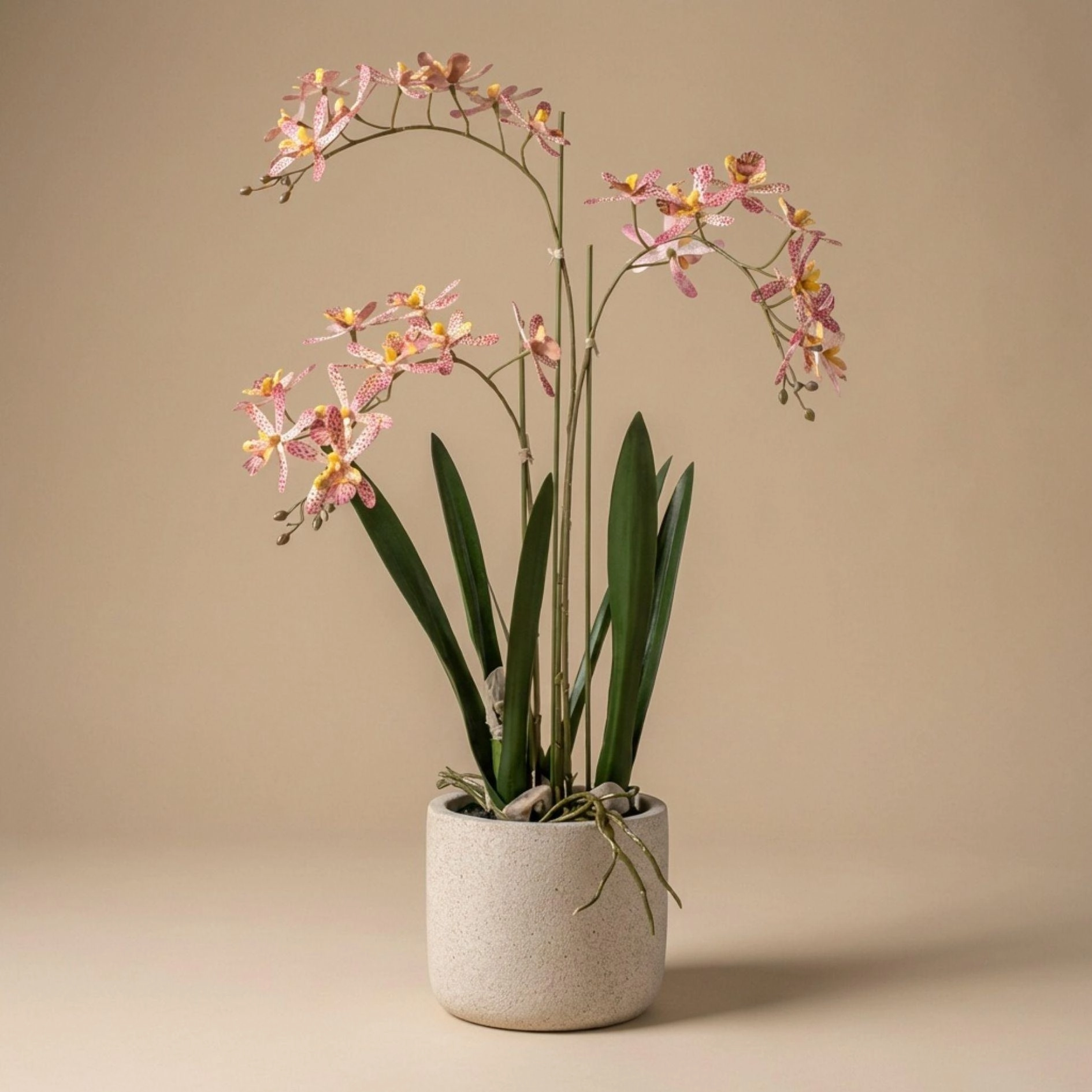Renanthera Orchidee künstlich frontal, gelb-orange Blüten, 56 cm