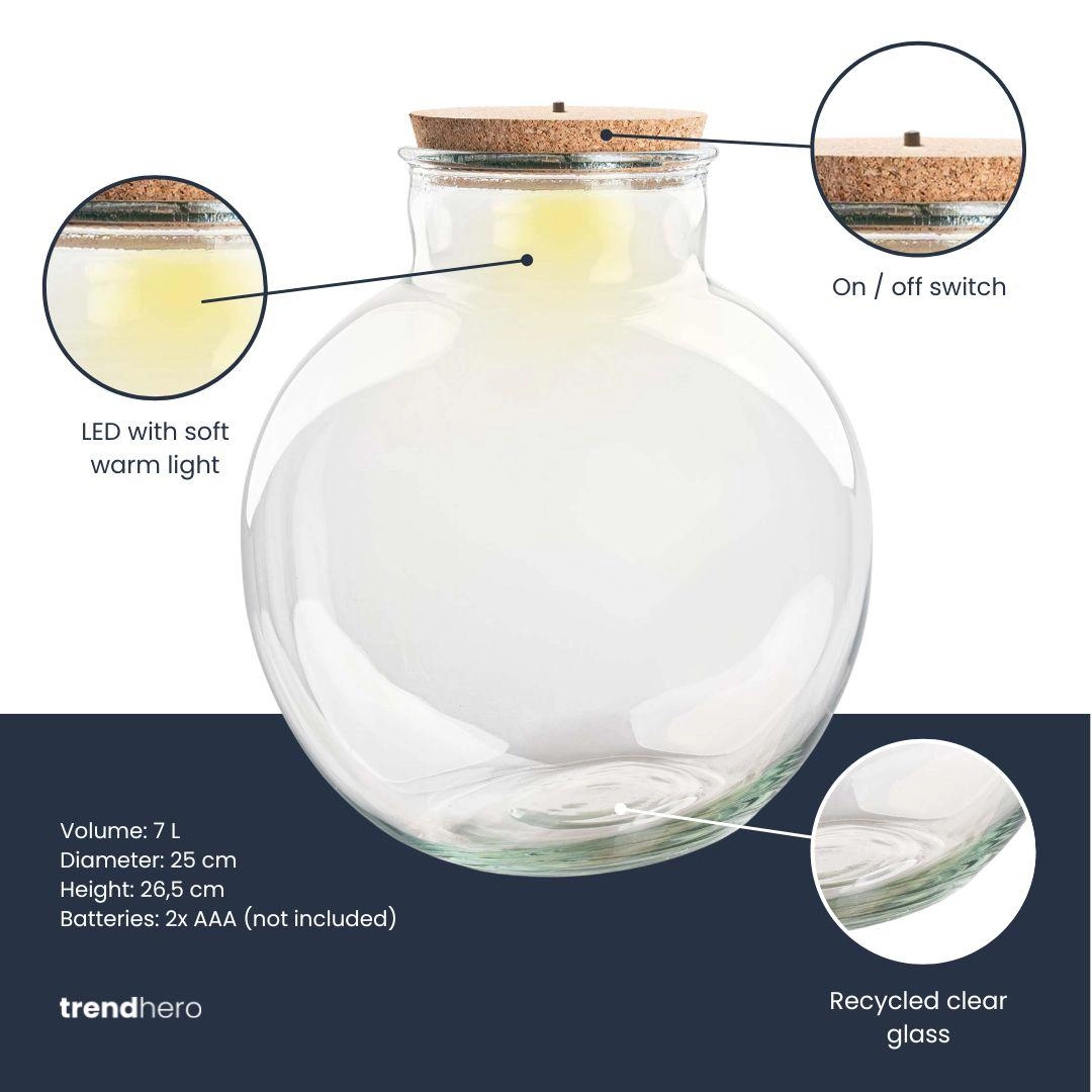 Terrarium Fles Teddy in Anwendung