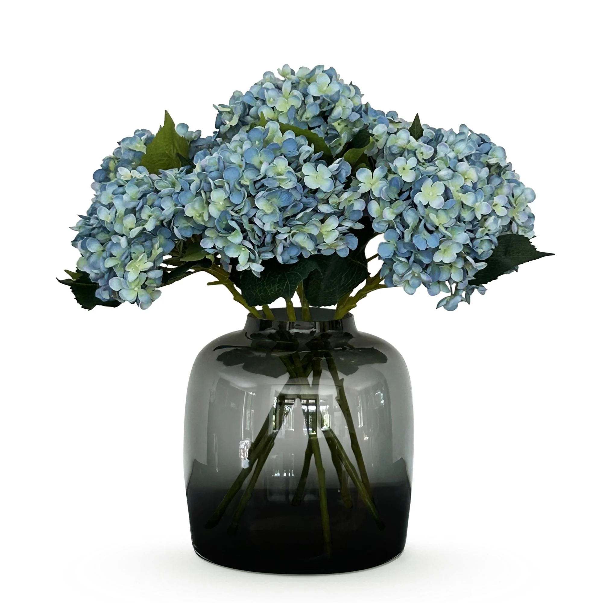 Kunsthortensie Blau