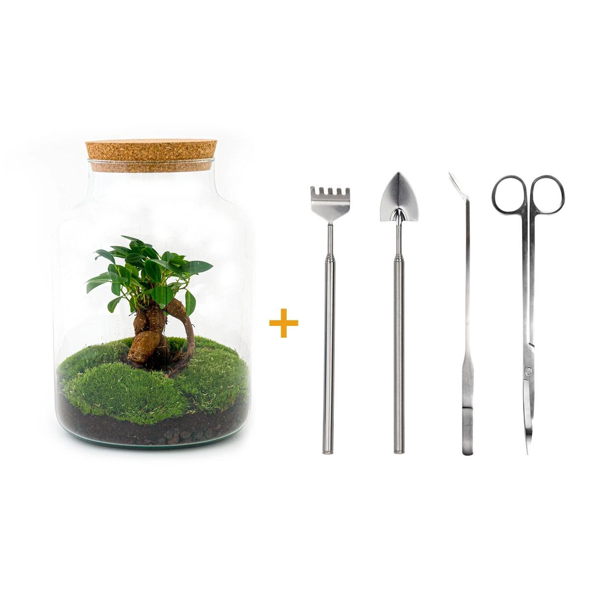 DIY Flaschengarten Set mit Pflanzen und Erde