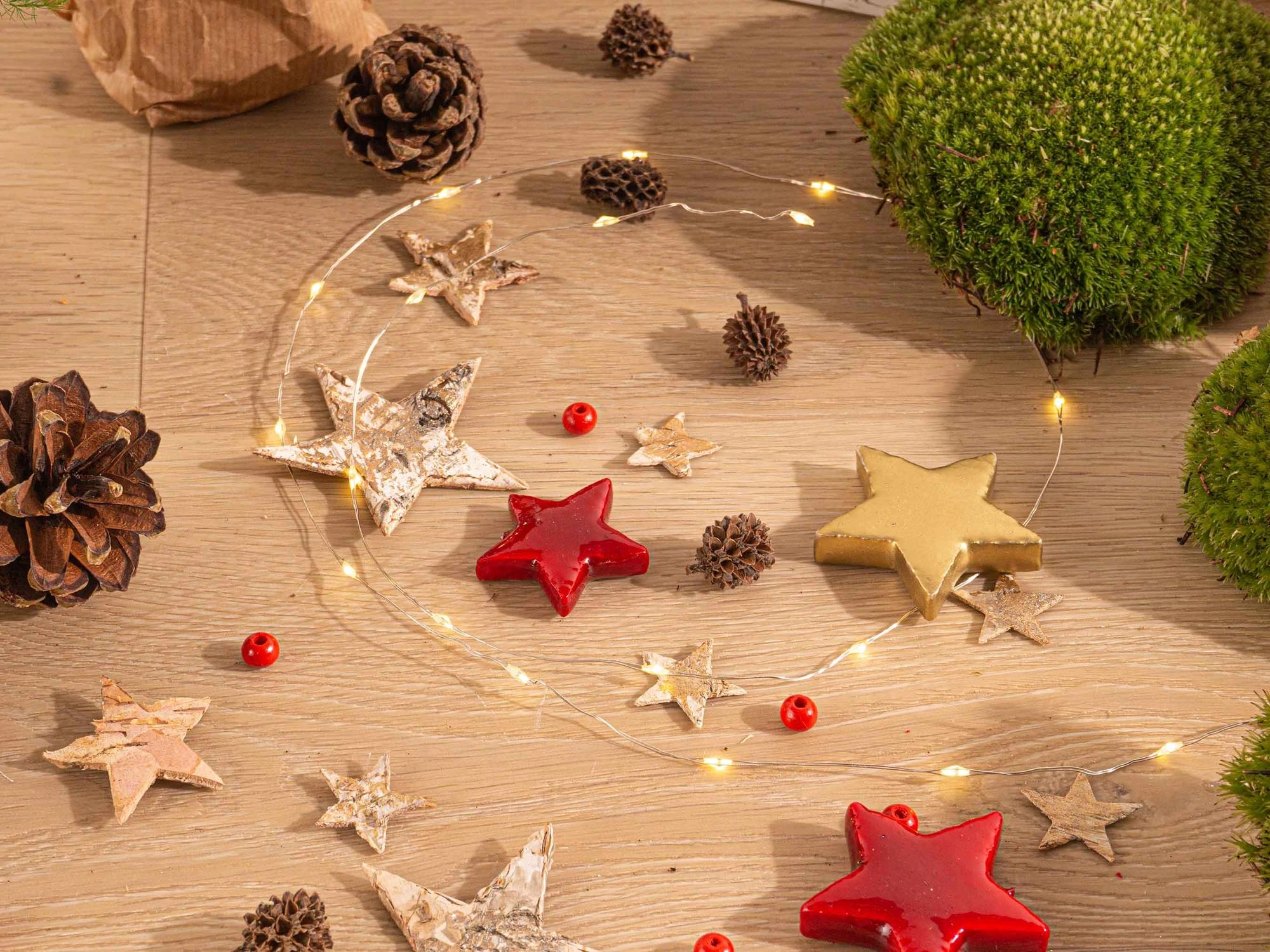 Kreative Gestaltung des Terrariums