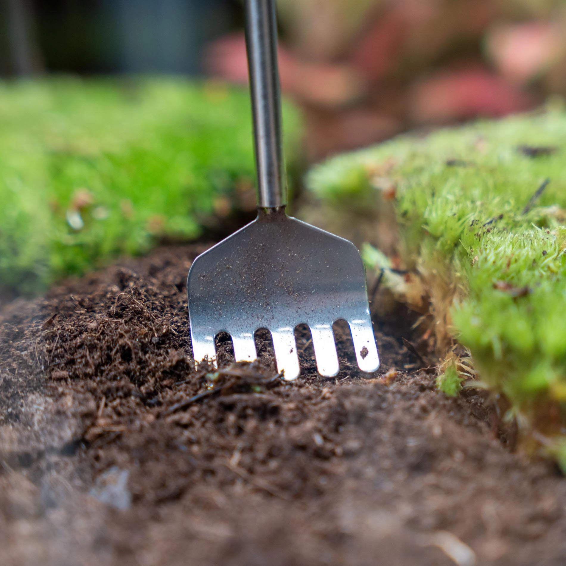 Teleskopische Edelstahlharke für präzise Arbeiten im Terrarium